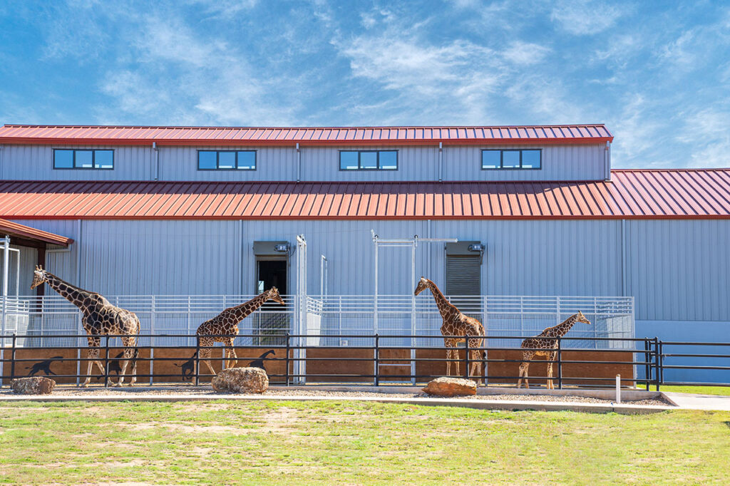 Sustainable Tourism in the Texas Hill Country