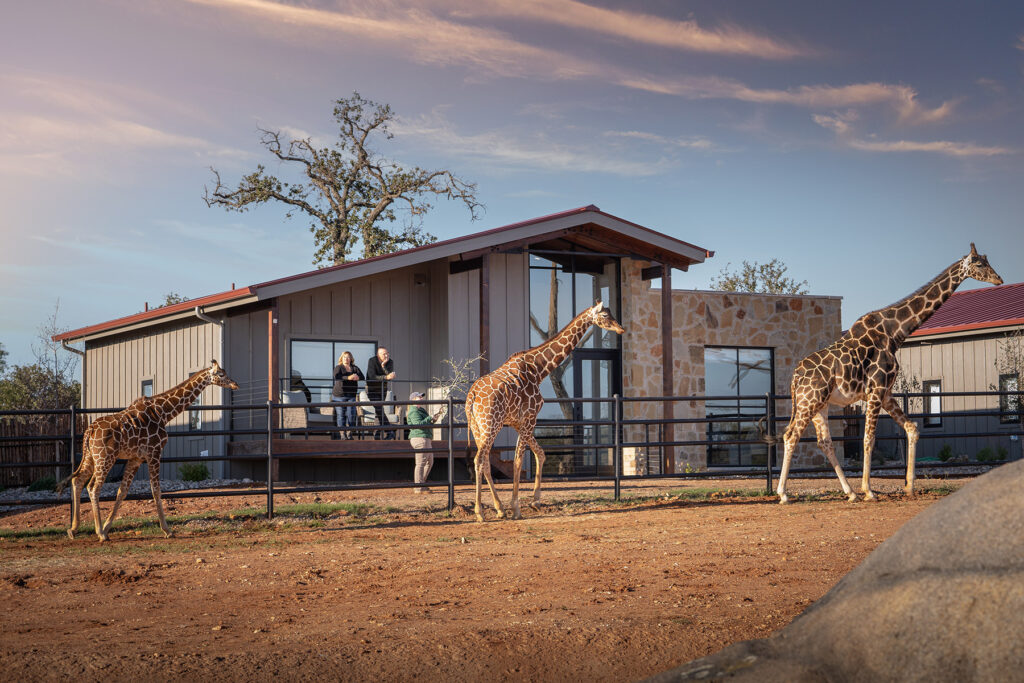 the ultimate wildlife hotel