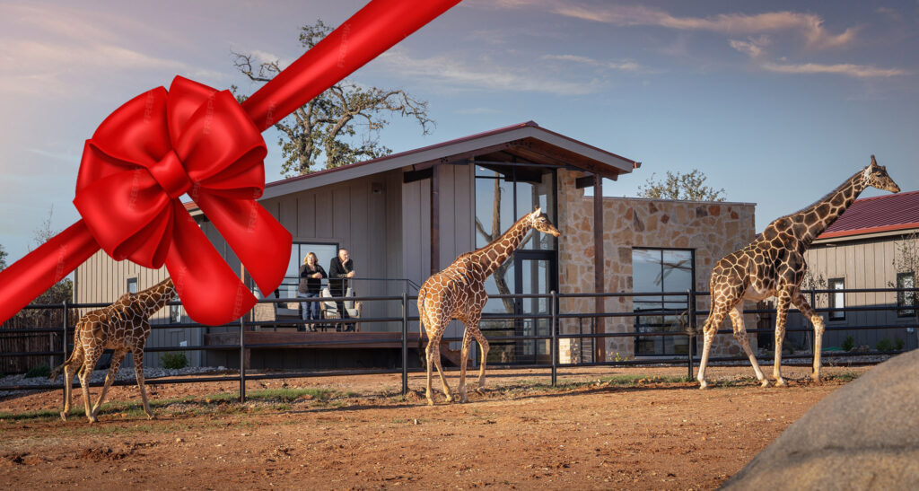 Safari Holiday