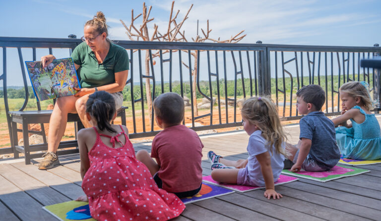 Toddlers Love Giraffes at  “Tower Tales”
