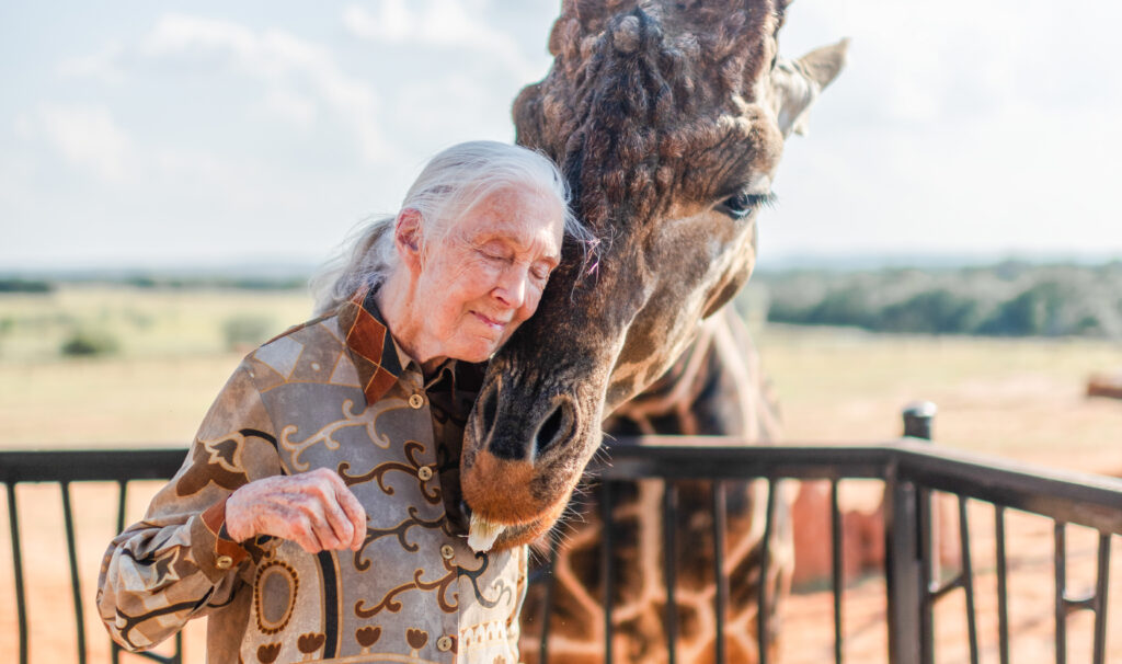 Remembering Jane Goodall