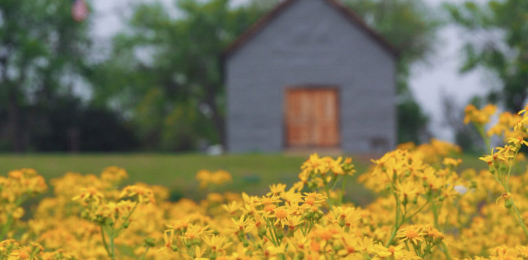 Wine, Wildflowers & Wildlife: