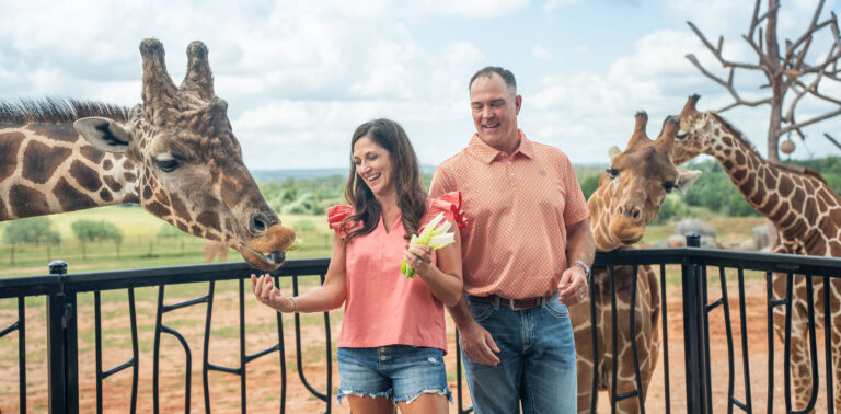 Texas Luxury Travel is changing